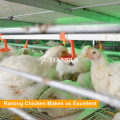 Farming Port Automatic Broiler Chickens Waterer for Chickens